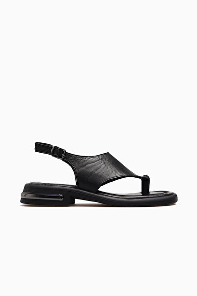 Venüs Kadın Deri Parmak Arası Günlük Sandalet 26y 2610114y Siyah