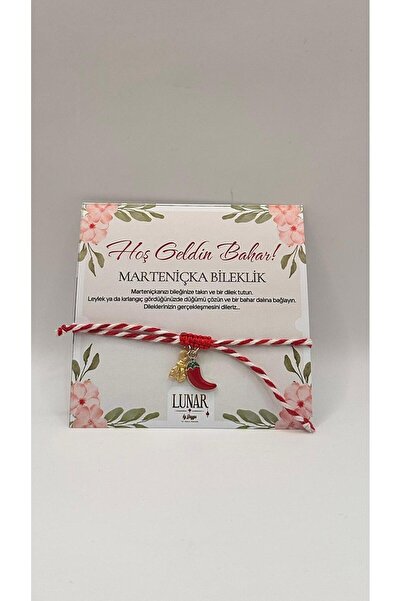 LUNAR by Duygu Marteniçka Biber ve Uğur Böceği Charmlı Bileklik