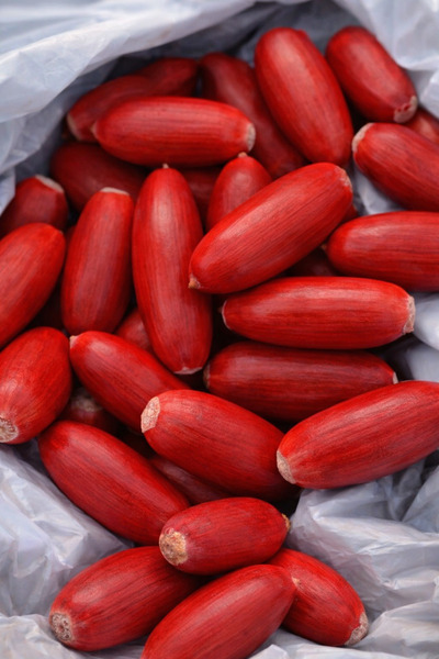 Marrone Kırmızı Palamutlar Hobi Malzemesi 30 Adet