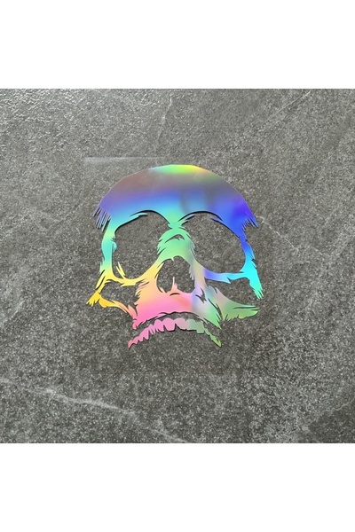 Choice1 مجموعة ملصقات فريدة من نوعها بتصميم جمجمة ملونة، ملصقات مميزة بألوان ...