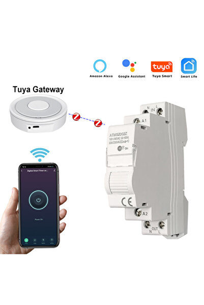 Choice مفتاح مؤقت ZigBee من Tuya Smart Life، مرحل 20 أمبير، تطبيق لمراقبة الط...
