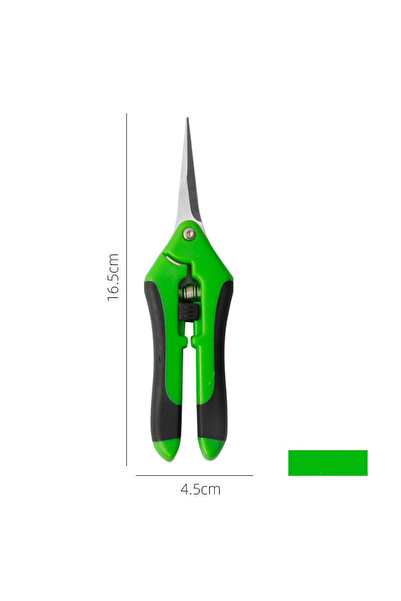 Choice4 مقص تقليم الحدائق من الفولاذ المقاوم للصدأ الأخضر، برأس مستقيم، مناسب...