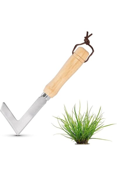 DELPI Instrument de extracție a buruienilor