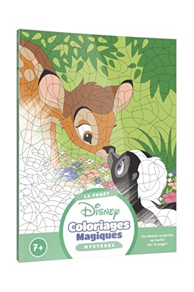 Disney Hachette ديزني - سحر الألوان - ألغاز - لا فوريه