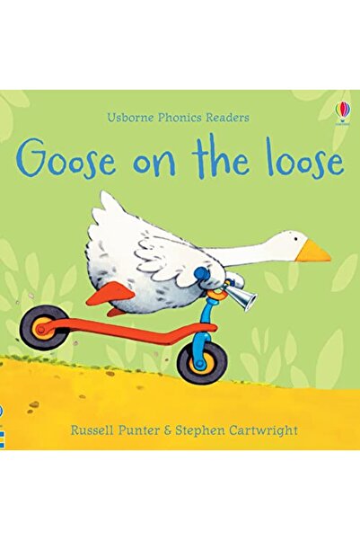 Usborne Goose on the loose