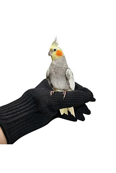 L&Wen قفازات تدريب الطيور المضادة للعض، للتعامل مع الحيوانات الصغيرة، زوج واحد