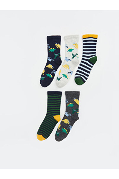 LC Waikiki Esvab • Modern & Distinctive Embroidered Boys' Socks, Pack of 5