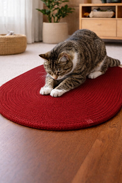 Kedi Tırmalama Matı ve Yatağı / Çok Amaçlı Kullanım