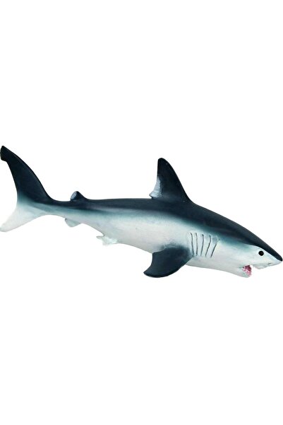 Safari Rechinul scrumbiilor