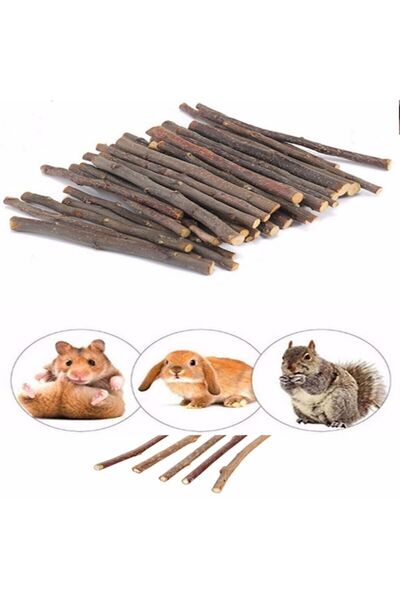 BFHOME Kemirgenler Için Elma-Ayva Ağacı Dalı 10 Adet 15cm Hamster,Ginepig,Tavşan