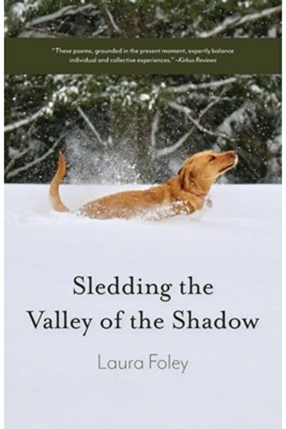 Timber Pr Inc Săniușul în Valea Umbrei