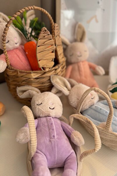 OEM Set of 4 Dreamy Sleeping Bunny Plush in Cradle, Soft 22cm – Pastel Nurser...