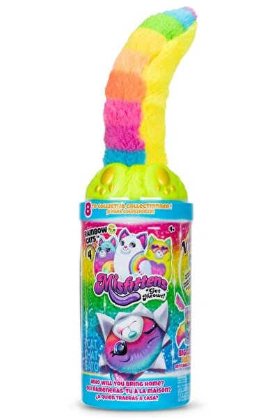 Noriel Jucarie de plus surpriza, Misfittens, Rainbow Cat,