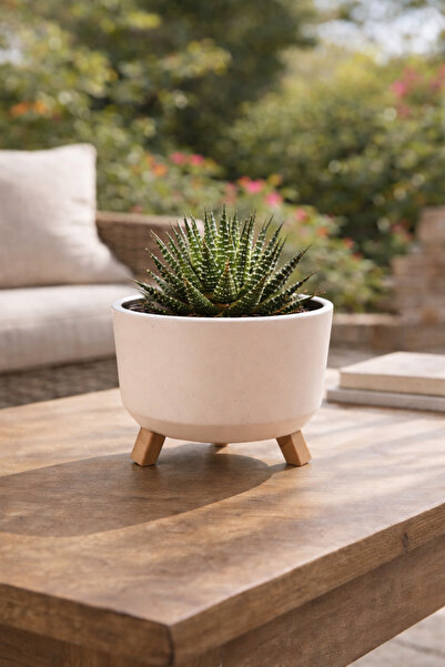 Binbirreyon Tripot Ayaklı Saksı Drenajlı İç Gövdeli 15x9cm 0,70Lt AH170