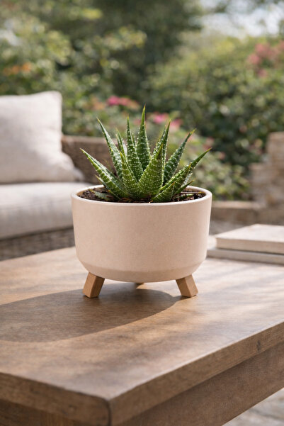 Binbirreyon Tripot Ayaklı Saksı Drenajlı İç Gövdeli 15x9cm 0,70Lt AH170