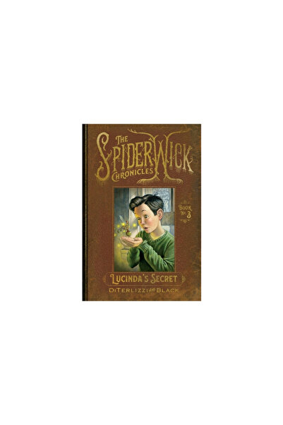 Simon & Schuster Books You Lucinda's Secret
