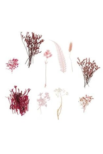 SHOPIENS Flori uscate de fuchsia roz pentru creații 20 g