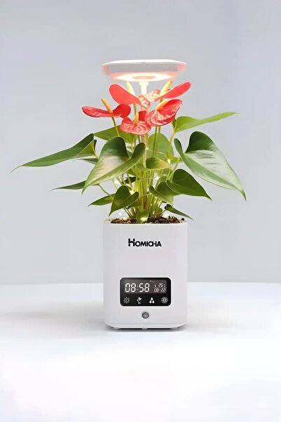 Homicha Çok İşlevli Akıllı Saksı