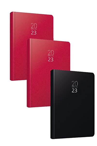 Gıpta 2020 100-ECK 14x20 Stara dnevna agenda