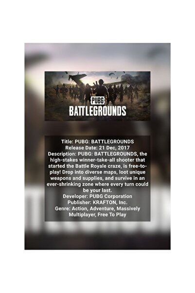 OEM Infographic Poster PUBG Battlegrounds, Battle Royale, Premium Cardboard 2...
