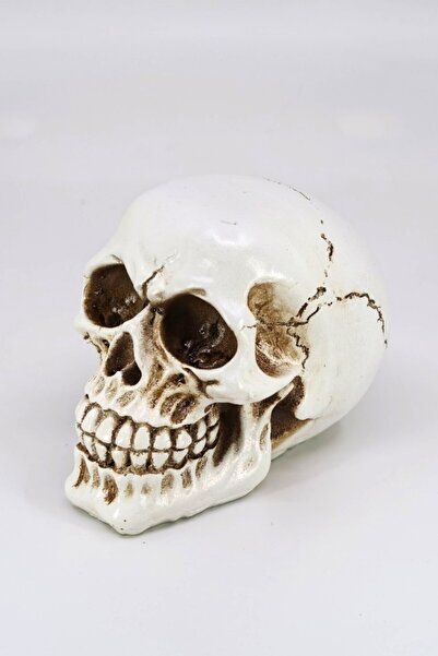 Hunga Dekoratif Kurukafa Heykel