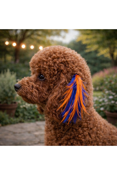 LOOL PREMİUM KÖPEK TÜY TOKA