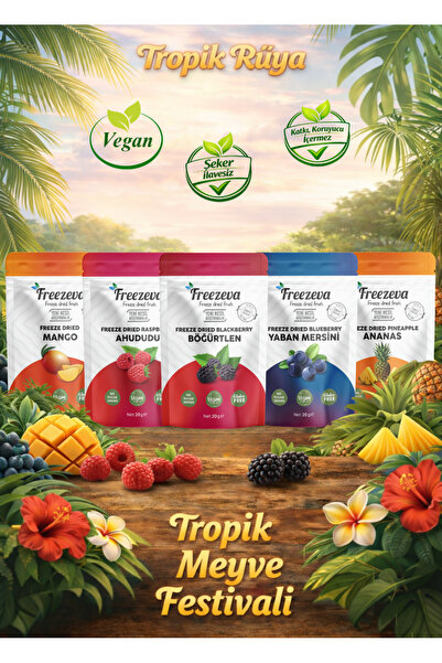Freezeva Tropik Rüya (Set of 5) - Freeze Dried Fruit Chips (Freeze Dried) Tro...