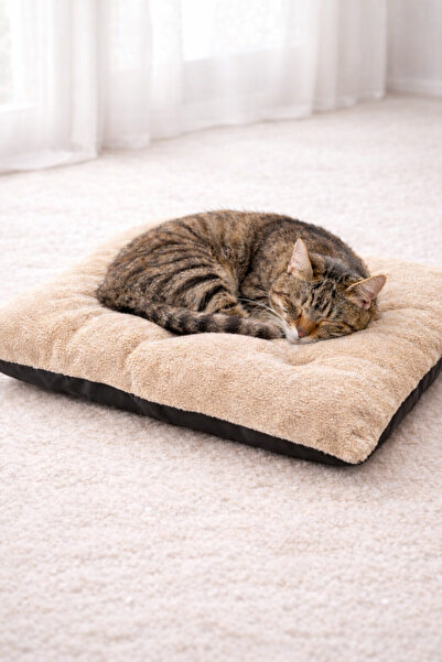 Kedi Köpek Minderi Welsoft Yumuşak Evcil Hayvan Yatağı 3 Farklı Ebat
