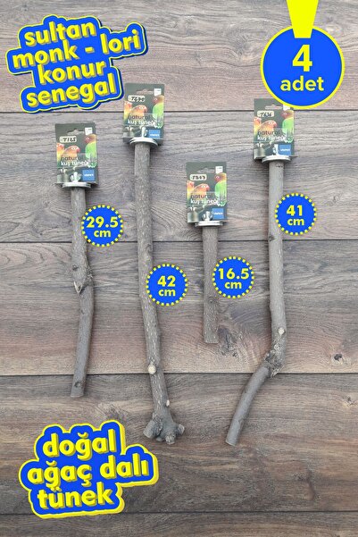 Vixpet مجموعة فينتي المكونة من 4 قطع من عناوين الببغاء الطبيعية: سلطان، مونك،...