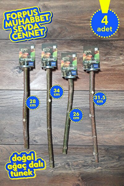 Vixpet مجموعة فينتي المكونة من 4 قطع من عناوين الببغاء الطبيعية |   دال تونك ...