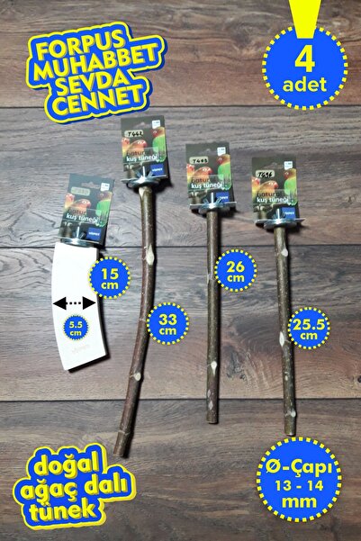 Vixpet مجموعة فينتي المكونة من 4 قطع من عناوين الببغاء الطبيعية |   ستانت تون...