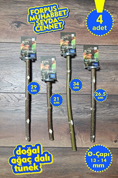 Vixpet مجموعة فينتي المكونة من 4 قطع من عناوين الببغاء الطبيعية |   دال تونكي...