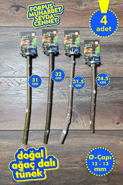 Vixpet Venty 4-Piece Natural Parrot Perch Set |   Dal Tünekler |   Forpus, Mu...