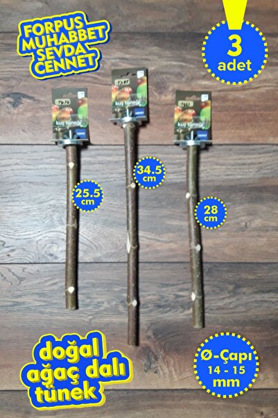 Vixpet Venty 3-Piece Natural Parrot Perch Set |   Dal Tünekler |   Forpus, Mu...