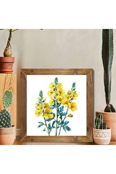 woodhomeworks Tablou decorativ pentru bucătărie, cu ramă din lemn real, floar...