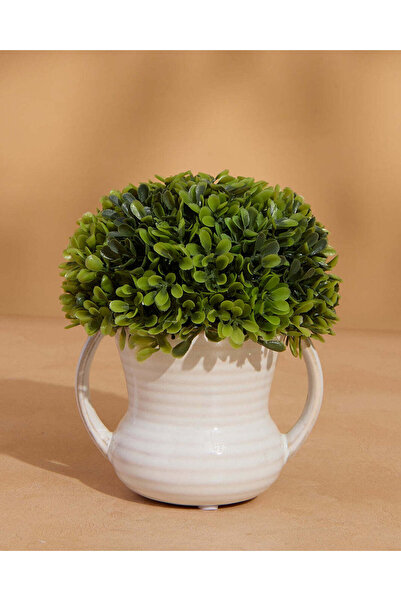 REDTAG نبات صناعي أبيض منقوش في أصيص (ارتفاع 16 سم × عرض 13 سم)