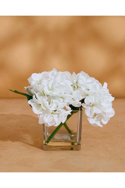 REDTAG White Hydrangea In Glass Vase 19H x 20 x 20cm