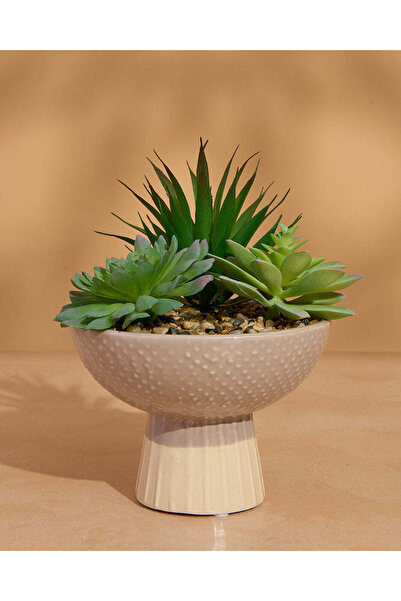REDTAG Beige Textured Artificial Succulent In Footed Planter (22H x 19D cm)