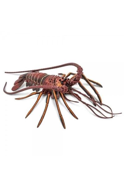 Safari crayfish