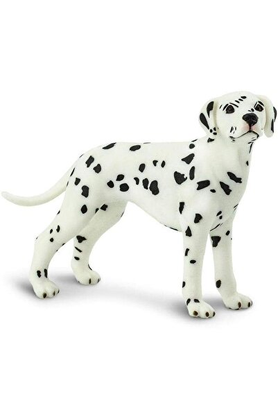 Safari Dalmatian