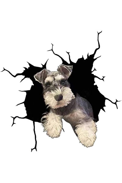 MaffStuff Sticker decorativ perete Câine design modern 30x30 cm Schnauzer Maf...