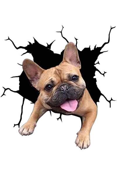 MaffStuff Sticker decorativ perete Câine design modern 30x30 cm Bulldog Franc...