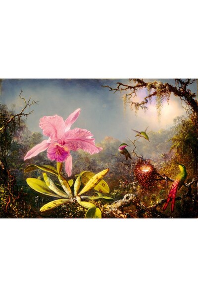 Bluebird Puzzle 1000 piese Puzzle - Martin Johnson Heade: Cattleya Orchid and...