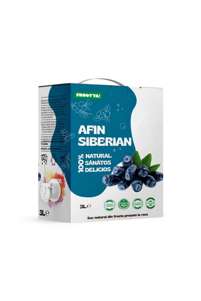 FROOTYA Suc de afine siberiene 3L