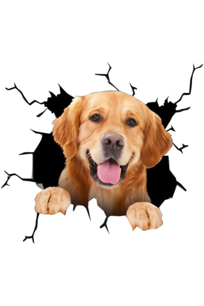 MaffStuff Decorative dog wall sticker 30 x 30 cm Golden Retriever model