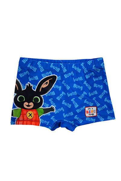 Bing Swim Brief, 88% Polyester, It is a thing, Blue