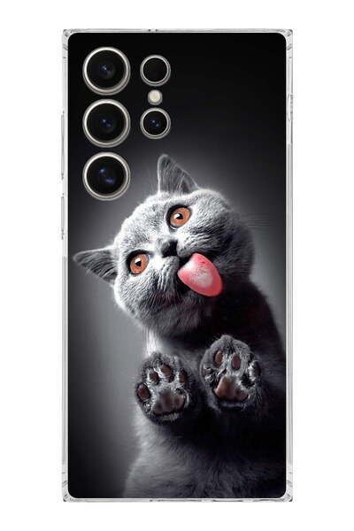 PrintiFy Cat 2 Camera Protected Transparent Case Compatible with Samsung Gala...