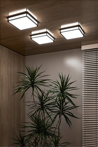 Allians Şık Sıva Üstü Led Armatür, Banyo, Balkon, Salon Tavan ve Duvar Aydınl...