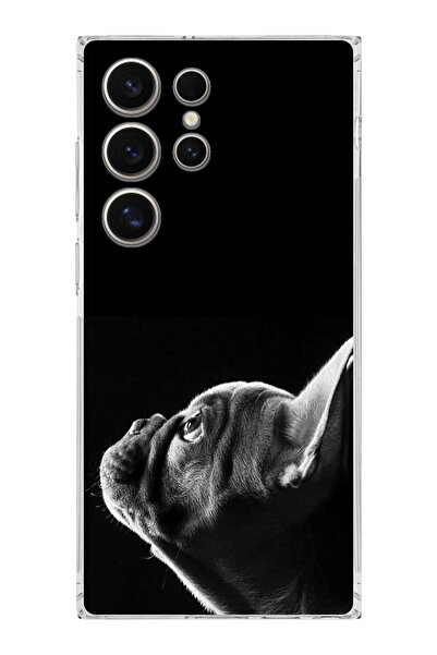 PrintiFy حافظة شفافة متوافقة مع هاتف Galaxy S26 Ultra مع حماية للكاميرا من نو...