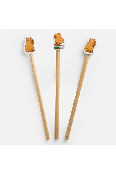 OEM Fancy Pencils with Capybara Eraser - 3pcs